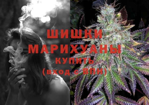 прущие грибы Козловка