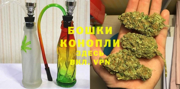 PSILOCYBIN Козельск