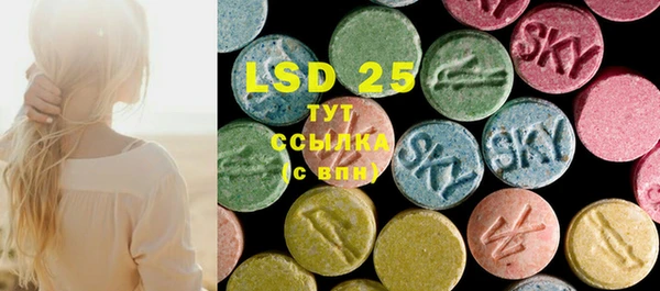 PSILOCYBIN Козельск