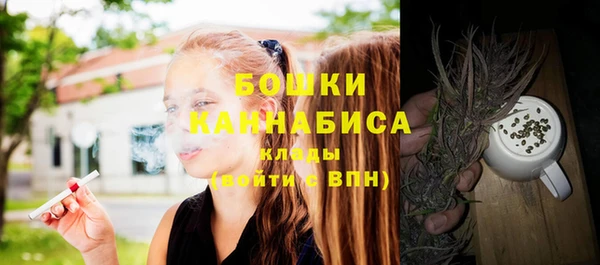 PSILOCYBIN Козельск